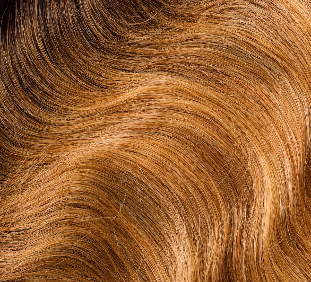 Thumbnail 20